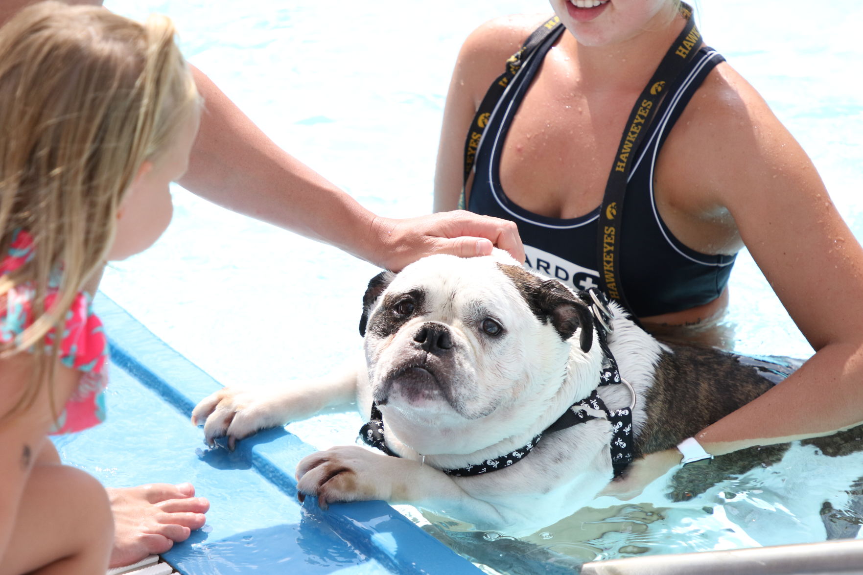 Dogs at the pool (55).JPG